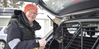 Harrastuksena eläinetsintä – Sirkka Pylkkäselle tulee keskimäärin kerran viikossa pyyntö etsiä lemmikki