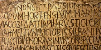 ”Latinan opiskelu auttaa ymmärtämään Harry Potteria” – Euroopan sivistyksen perustaan kuuluva kieli tekee paluuta