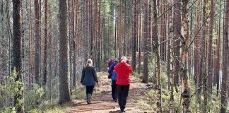 ”Täällä kuulostelen kaipaustani” – Kontiolahdella vietettiin luonto- ja hiljentymispolun avajaisia