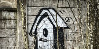 Luonto puhuu: Sielu tarvitsee pöntön eli lintujen perhe-elämän tarkkailu on mielekästä puuhaa