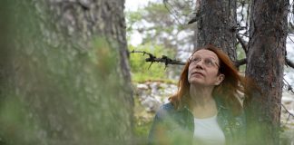 Matkailua tutkiva Soile Veijola: Kohtuullinen ikkuna on lasiseinää parempi ja pysyvä maisema rauhoittaa stressaantunutta