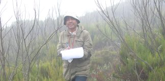 Etiopian kirkkometsät eivät uudistu kuten ennen – kirkkoja ympäröivät metsät ovat biodiversiteetiltään rikkaita, nyt niitä kuitenkin uhkaa häviäminen