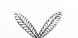 Tuhat merkkiä taivaasta: Tekeekö kirkko monitouhuisuudessaan oikeita asioita?