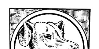 Tuhat merkkiä taivaasta: Se, mille olemme uskollisia, kertoo lopulta meistä itsestämme