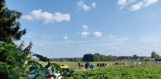 Kallot ovat kotona – Sunnuntaina Pälkäneen rauniokirkolle kokoonnuttiin saattamaan 150 vuotta sitten viedyt jäänteet vihdoin kotiin