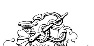 Tuhat merkkiä taivaasta: ”Ainakin läntisessä maailmassa eletään tällä hetkellä monin tavoin sairaissa yhteiskunnissa”