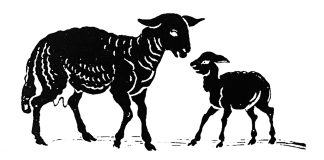 Tuhat merkkiä taivaasta: Aina emme edes tiedä, milloin saamme olla välikappaleina hyvän sanoman eteenpäin viemisessä