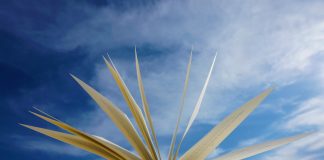 Vuoden kristillinen kirja -ehdokkaat julki Turun kirjamessuilla – Kotimaa esittelee ehdokkaat, joista valinta tehdään Helsingin kirjamessuilla lokakuun lopussa