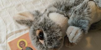 Yli 70-vuotiaista iso osa oppi iltarukouksen lapsuudenkodissaan – alle kolmekymppisistä 42 prosenttia