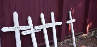 Luonto puhuu: Turhat ovat tuomion sanat kun lahoaminen vapauttaa