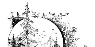 Tuhat merkkiä taivaasta: Entä jos en halua olla valmis?