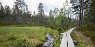 Pienikin kävelyretki voi olla pyhiinvaellus