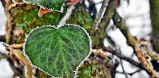Epävarmanakin aikana meillä on tulevaisuus ja toivo