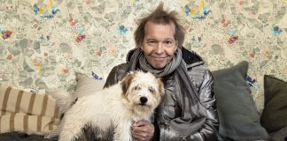 Kolumni: Hoitajakoira valvoo