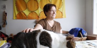 Harrastuksena kissojen hoito: Taru Sahla antaa sijaiskodin hylätyille kissoille