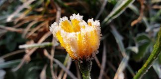 Inhimillisyyttä armottomuuden keskelle