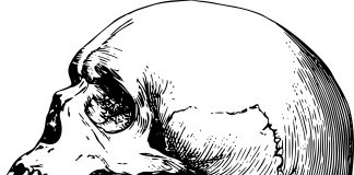 Tuhat merkkiä taivaasta: Kapinastako on kysymys?