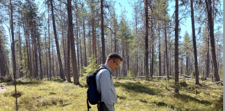 ”Olemme lopulta kaikki samalla puolella” – kappalainen Jyrki Koivisto toivoo seurakunnilta vahvempia yhteisiä toimia metsäluonnon hyväksi