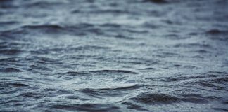 Hartaus: Muuten minä hukun