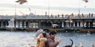 TV-vinkki: Kiinnostava turkkilaissarja — Löytyykö identiteetti huivilla vai ilman?