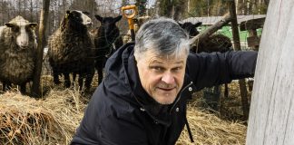 Kolumni: Kysymysten kanssa eläminen on jo tielle lähtemistä – ja lopulta vapauttavat sanat tulevat