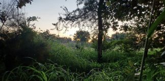 Katse tähtiin tropiikissa – nojatuolimatka Sambiaan