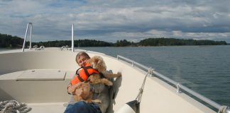 Hilkka Olkinuora: Koiran kuolema jättää syvän surun – ja jälleennäkemisen toivon