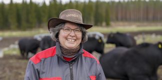 Lehmien lähellä rentoutuu — Susanna Vehkaoja käyttää vapaa-aikansa perheen luomuemolehmätilalla