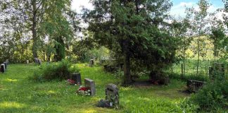 Aluehallintovirasto kielsi hautaamisen — Humppilan Vallan nummen yksityisen hautausmaan ylläpitäjä ei ole tiedossa