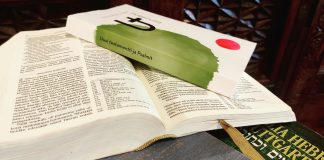 Kotimaa kysyi: Tällaisia käsityksiä Raamatusta on kirkon työntekijöillä ja luottamushenkilöillä