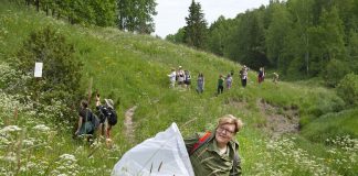 Mitä jäi haaviin Häntälän notkoissa? — Luonnonkukkaniityillä pörisee