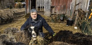 Kolumni: Ihminen on rukoileva eläin