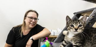 Harrastuksena eläintensuojelu: Marjo Virtanen totuttaa villeinä eläneitä kissoja ihmisiin