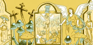 Essee: Kristinuskon niukka sienikausi – sienet on ohitettu kirkkotaiteessa ja kristinuskossa sienikausi