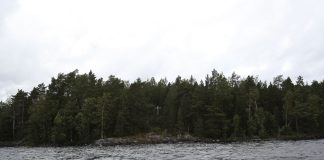 Rantasalmelaisille rakas Kaarnetsaari on pääsemässä osaksi Linnansaaren kansallispuistoa