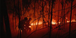 Elokuva-arvio: John Websterin maastopaloista kertovan dokumentin maisemat ovat kuin helvetin porteilta