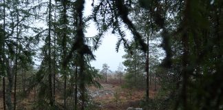 Ennätysmäärä seurakuntia sai Kirkon ympäristödiplomin