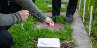 Ylä-Savon seurakuntayhtymä laittoi uurnahautaukset talvitauolle