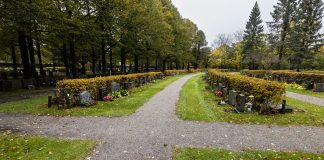 Hautausmaan pehmeät kulkuväylät nostivat esteettömyyden tarkasteluun Lempäälässä