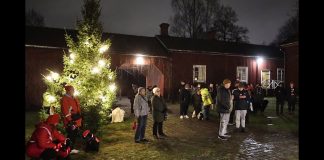 Joulurauha julistettiin kaikille eläimille Maarian pappilan pihalla – Katso kuvat ja video