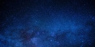 Hartaus: Salattu suoja