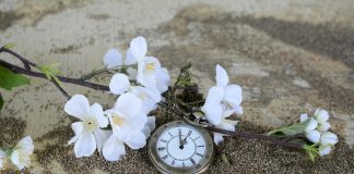 Luterilaiset ja adventistit yhdessä eskatologiasta: ei spekulatiivista aikataulujen laskemista, vaan toivon sanoman esilläpitoa Kristus-keskeisesti