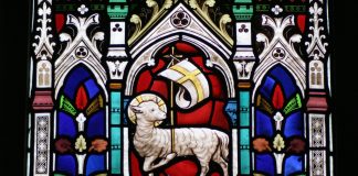 Kolumni: Uskontunnustuksessa liityn toivoon, jota epäonnistuneet kirkot ovat varjelleet