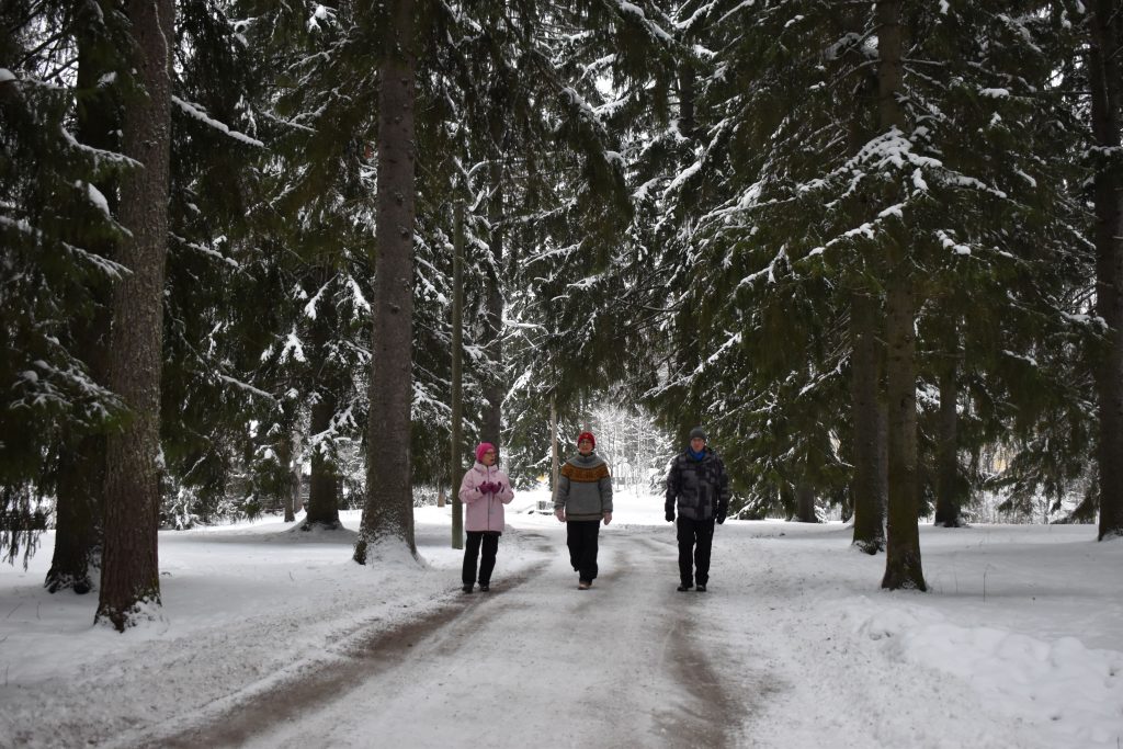 Kolme ihmistä kävelee lumista tietä poispäin korkeista kuusista.