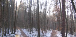 Dosentti Aku Visala: Vapaan tahdon ja pelastuksen välisestä jännitteestä pitäisi puhua enemmän