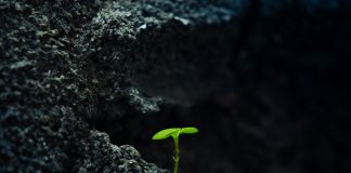 Ylösnousemuksen kieltäminen tekisi Jeesuksesta vain hyvän elämän opettajan, sanoo Lars Aejmelaeus