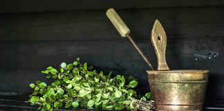 Löylyn voima on juurtunut suomalaisten sieluun Kuvassa on tummassa saunassa vihreä, tuore koivuvihta ja metallinen löylykiulu, jossa on löylykauha