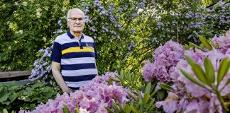 Nykyinen ylistysmusiikki ei puhuttele Finngospelin perustajaa Bjarne Bergsténiä Raitapaitainen mies seisoo rhododenropensaan takana.