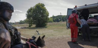 Vaarallisinta on liikkua maantiellä — avustustyöntekijöitä uhkaavat dronet ja sieppaukset Ihmistä autetaan ambulanssiin ja sotilas pitelee koiraa.