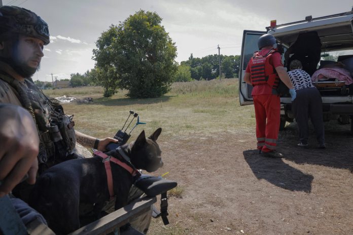 Evacuate Residents Near Kharkiv Front - Ukraine Ihmistä autetaan ambulanssiin ja sotilas pitelee koiraa.